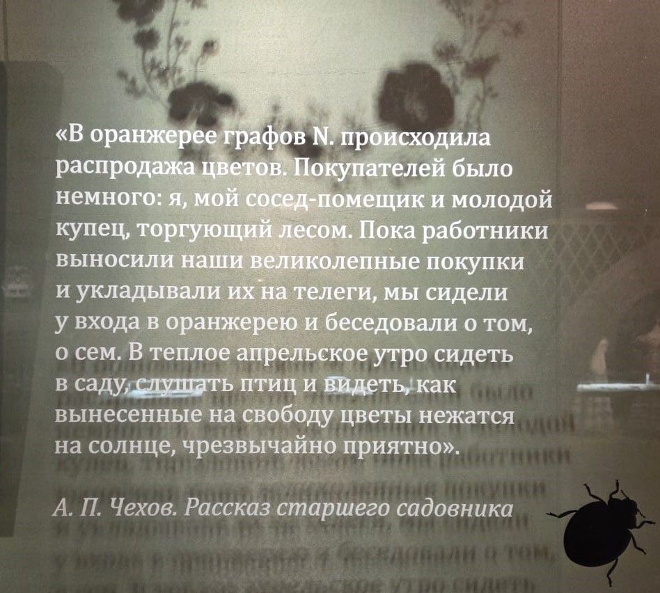Хотите вернуть лето? Посетите самую позитивную выставку Москвы осени 2025