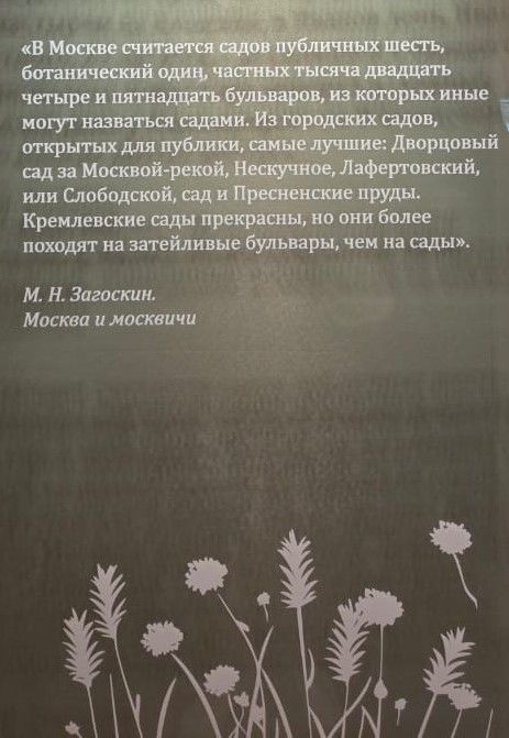 Хотите вернуть лето? Посетите самую позитивную выставку Москвы осени 2025