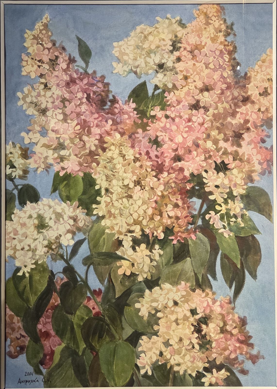Андрияка С.Н. Гортензии на голубом фоне. 2004 бумага, акварель