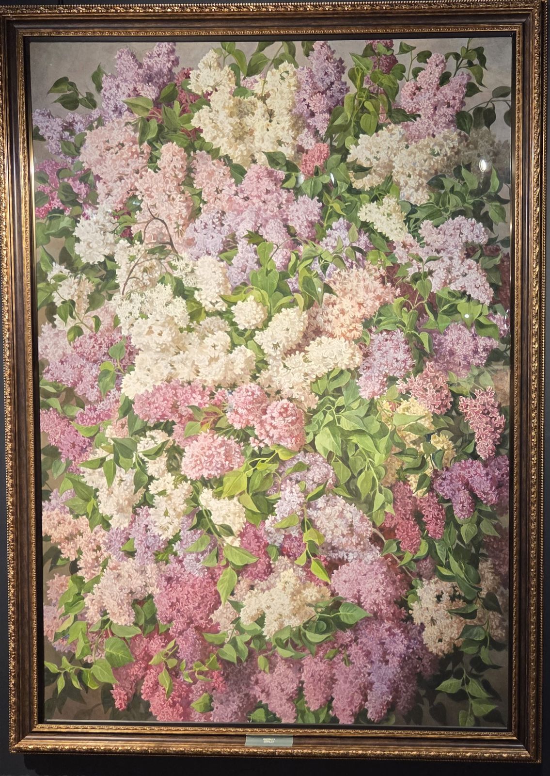 Андрияка С.Н. Сирень 2018 бумага, акварель