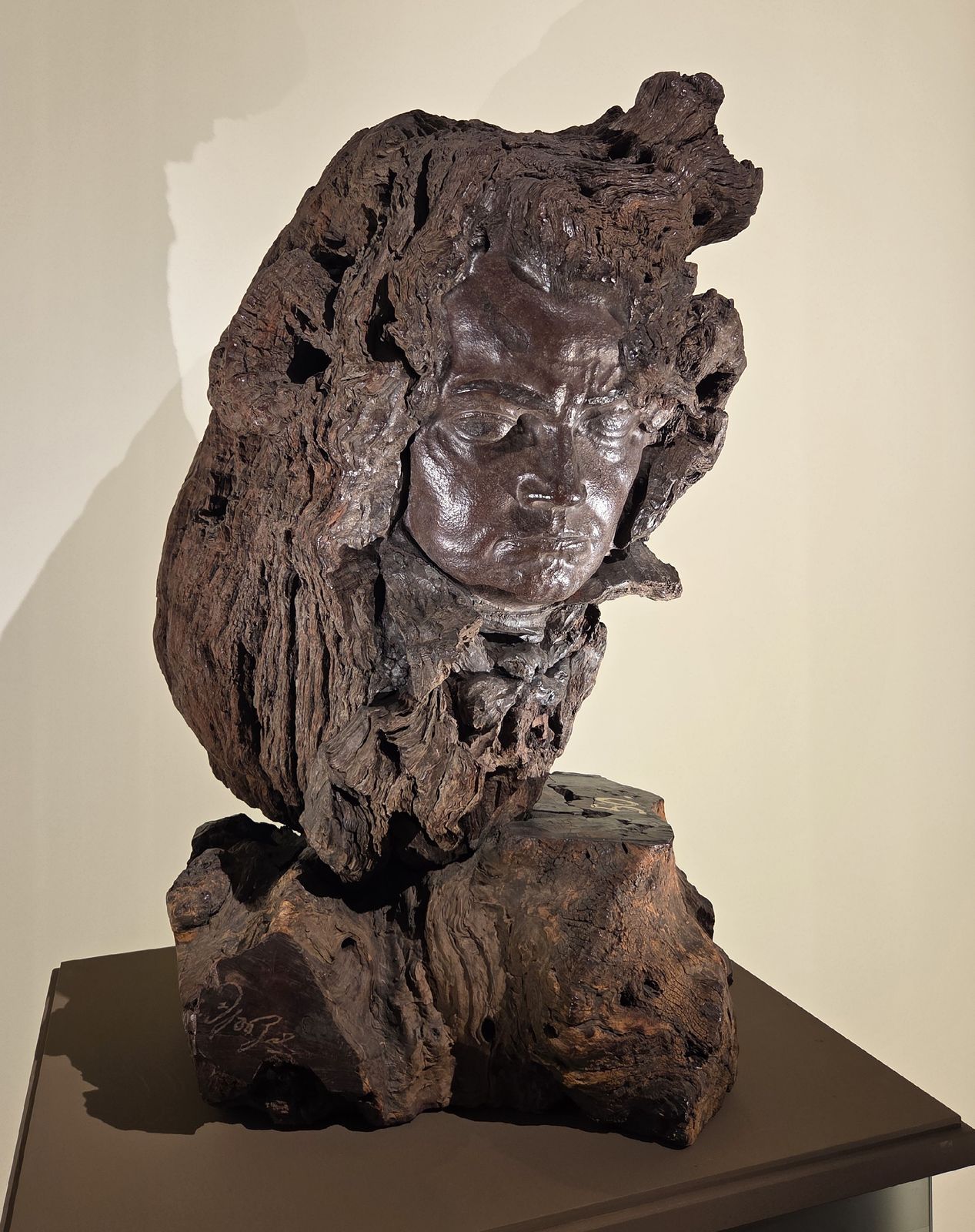 Бетховен. 1929 кебрачо