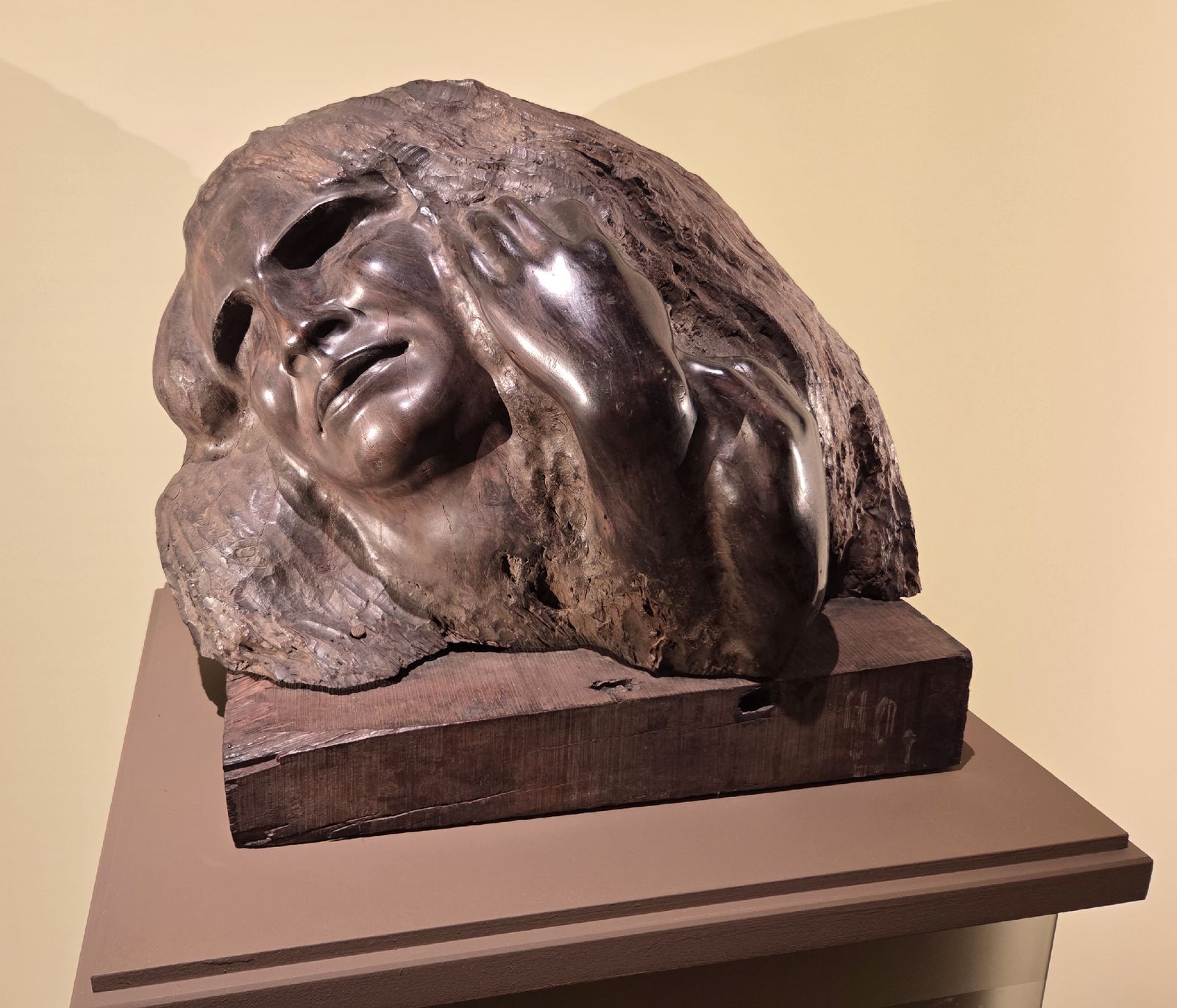 Горе. 1933 кебрачо